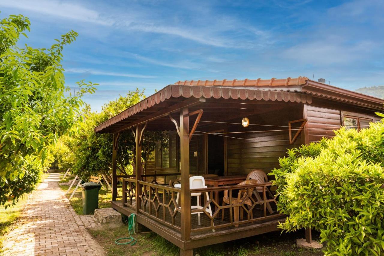 Ikiz Villas Çıralı Εξωτερικό φωτογραφία