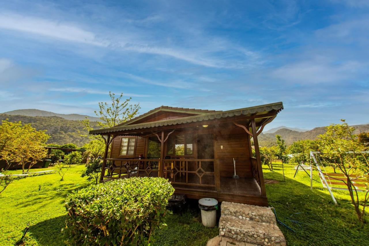 Ikiz Villas Çıralı Εξωτερικό φωτογραφία