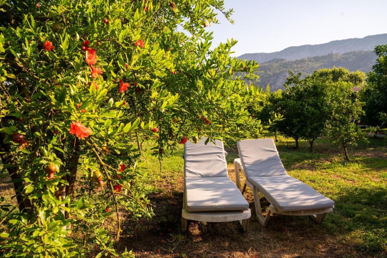 Ikiz Villas Çıralı Εξωτερικό φωτογραφία