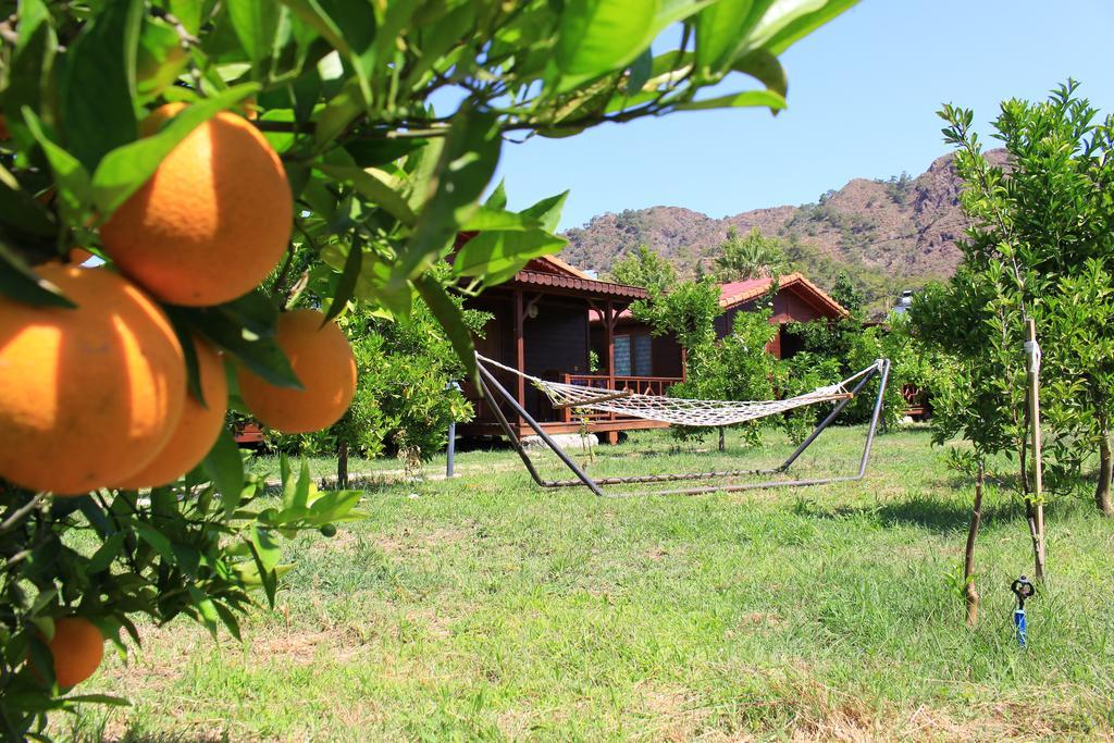 Ikiz Villas Çıralı Εξωτερικό φωτογραφία