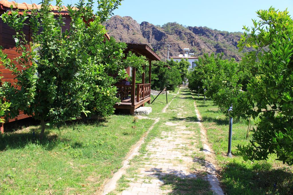 Ikiz Villas Çıralı Εξωτερικό φωτογραφία