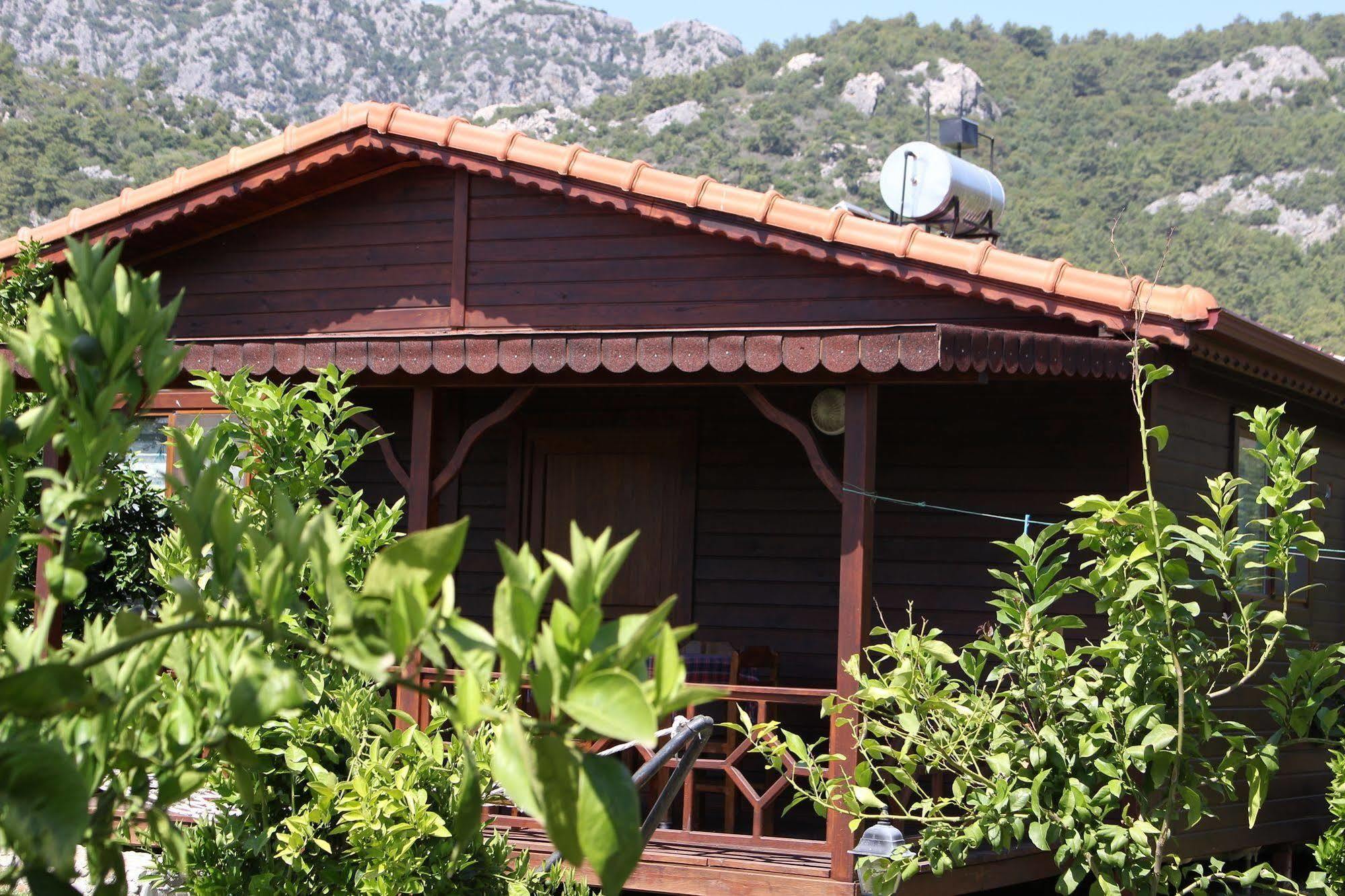 Ikiz Villas Çıralı Εξωτερικό φωτογραφία